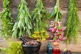 Folk remedies to increase power