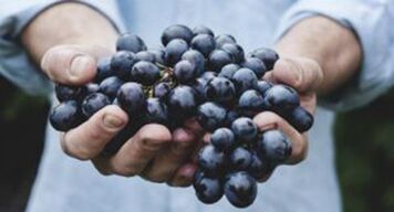 Grapes help strengthen the erection